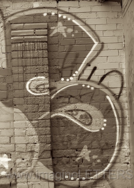 Wall_Art_Alphabet_Photography_Art_ 267.jpg